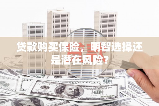 湖州贷款购买保险，明智选择还是潜在风险？