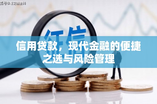 湖州信用贷款，现代金融的便捷之选与风险管理