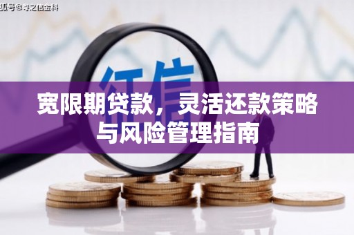 湖州宽限期贷款，灵活还款策略与风险管理指南