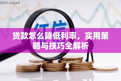 湖州贷款怎么降低利率，实用策略与技巧全解析