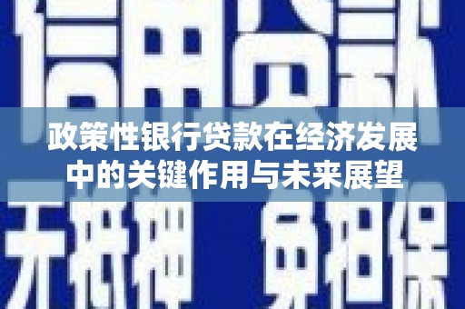 湖州政策性银行贷款在经济发展中的关键作用与未来展望