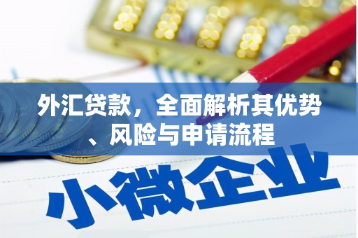 湖州外汇贷款，全面解析其优势、风险与申请流程