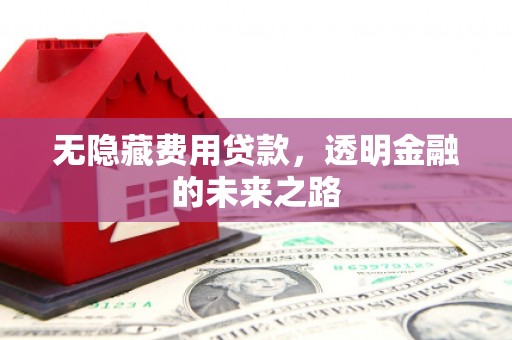 湖州无隐藏费用贷款，透明金融的未来之路