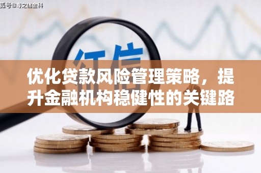 湖州优化贷款风险管理策略，提升金融机构稳健性的关键路径