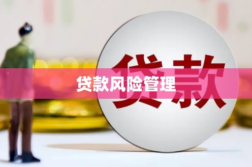 湖州贷款风险管理