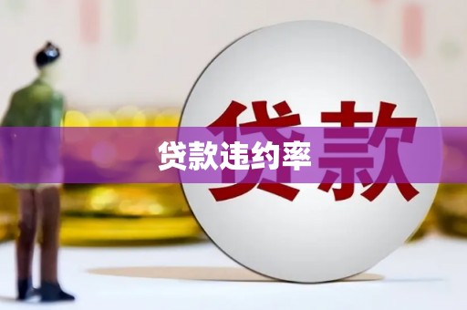 湖州贷款违约率