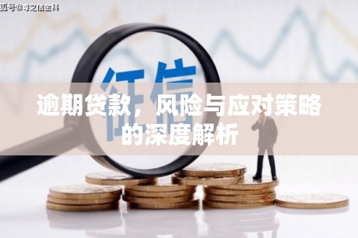 湖州逾期贷款，风险与应对策略的深度解析