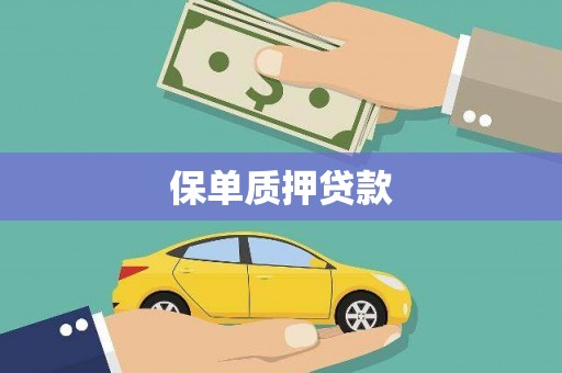 湖州保单质押贷款
