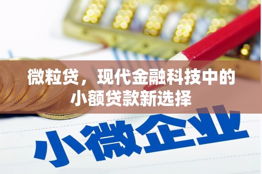 湖州微粒贷，现代金融科技中的小额贷款新选择