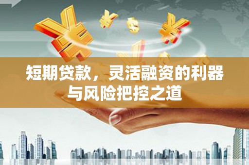 湖州短期贷款，灵活融资的利器与风险把控之道