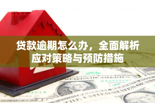 湖州贷款逾期怎么办，全面解析应对策略与预防措施