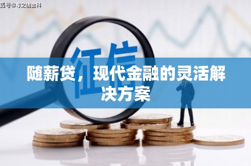 湖州随薪贷，现代金融的灵活解决方案