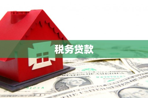 湖州税务贷款