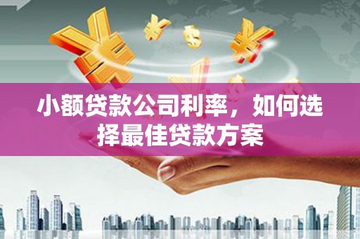 湖州小额贷款公司利率，如何选择最佳贷款方案