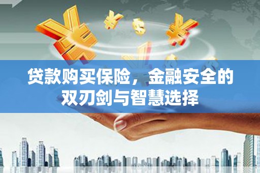 湖州贷款购买保险，金融安全的双刃剑与智慧选择