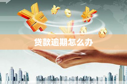 湖州贷款逾期怎么办
