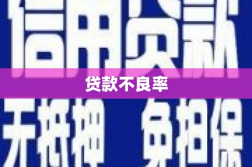 湖州贷款不良率