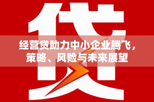 湖州经营贷助力中小企业腾飞，策略、风险与未来展望