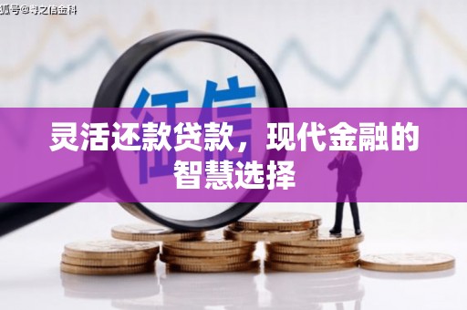 湖州灵活还款贷款，现代金融的智慧选择