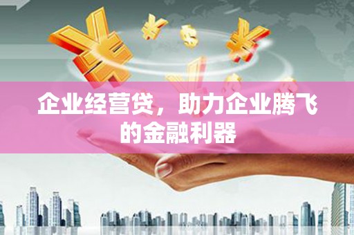 湖州企业经营贷，助力企业腾飞的金融利器