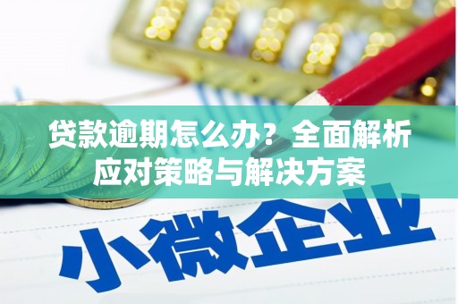 湖州贷款逾期怎么办？全面解析应对策略与解决方案