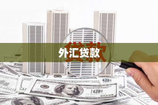 湖州外汇贷款