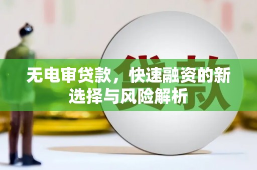 湖州无电审贷款，快速融资的新选择与风险解析
