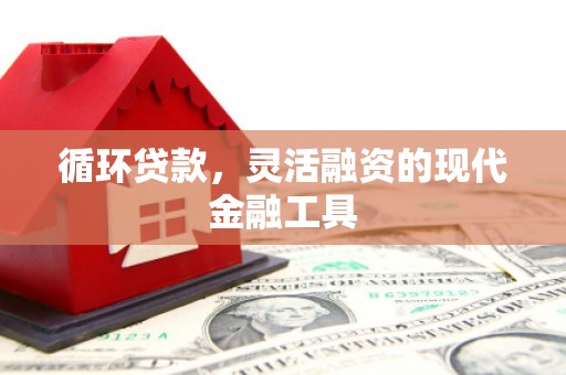 湖州循环贷款，灵活融资的现代金融工具