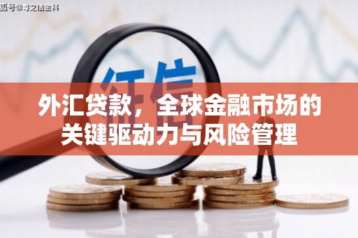 湖州外汇贷款，全球金融市场的关键驱动力与风险管理