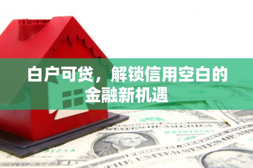 湖州白户可贷，解锁信用空白的金融新机遇