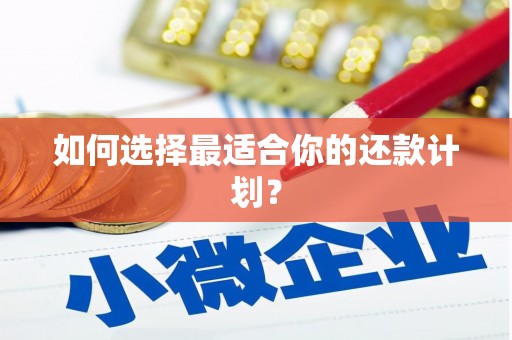 湖州如何选择最适合你的还款计划？