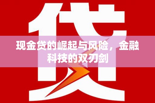 湖州现金贷的崛起与风险，金融科技的双刃剑