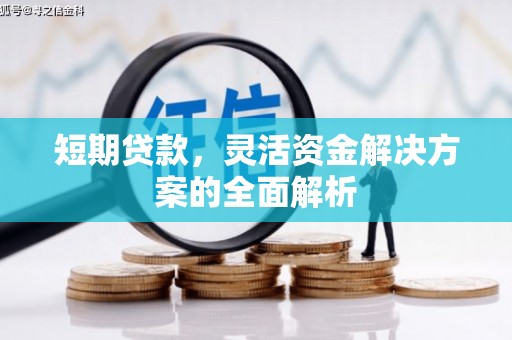 湖州短期贷款，灵活资金解决方案的全面解析