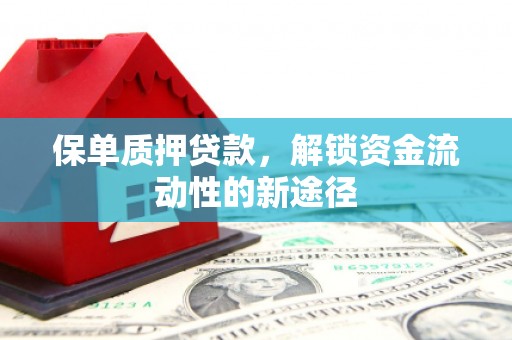 湖州保单质押贷款，解锁资金流动性的新途径