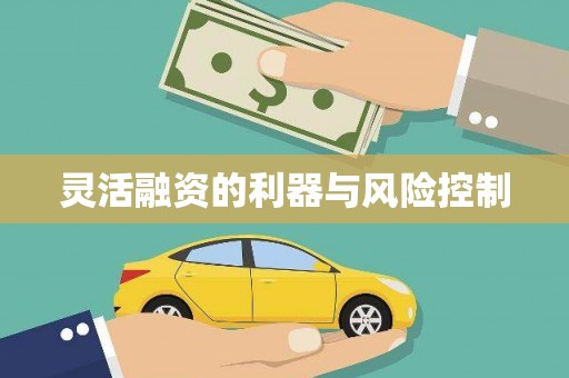 湖州灵活融资的利器与风险控制