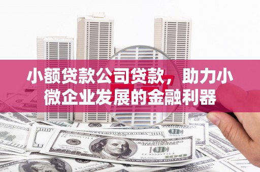 湖州小额贷款公司贷款，助力小微企业发展的金融利器