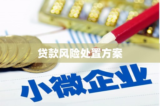 湖州贷款风险处置方案
