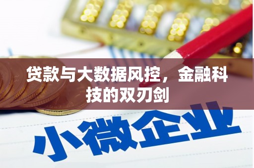 湖州贷款与大数据风控，金融科技的双刃剑