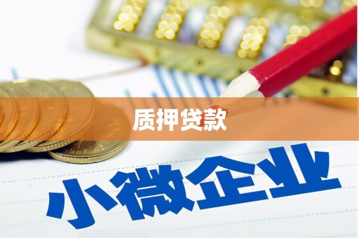 湖州质押贷款
