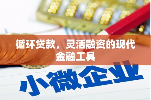湖州循环贷款，灵活融资的现代金融工具