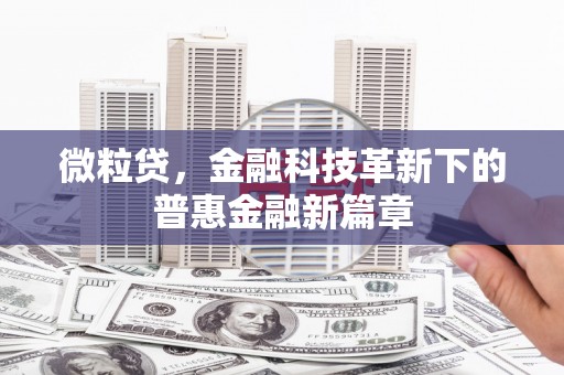湖州微粒贷，金融科技革新下的普惠金融新篇章