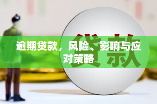 湖州逾期贷款，风险、影响与应对策略