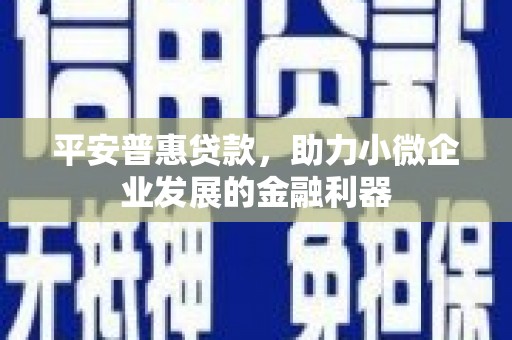湖州平安普惠贷款，助力小微企业发展的金融利器