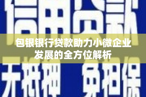 湖州包银银行贷款助力小微企业发展的全方位解析