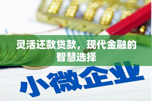湖州灵活还款贷款，现代金融的智慧选择