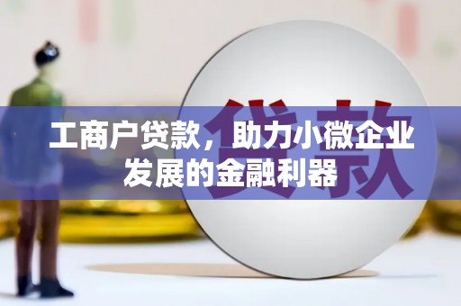 湖州工商户贷款，助力小微企业发展的金融利器