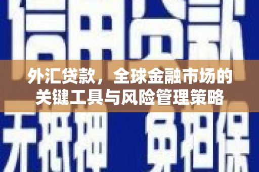 湖州外汇贷款，全球金融市场的关键工具与风险管理策略