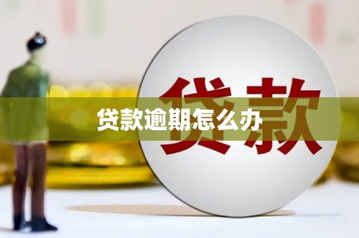 湖州贷款逾期怎么办