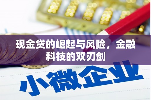 湖州现金贷的崛起与风险，金融科技的双刃剑
