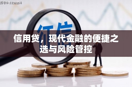 湖州信用贷，现代金融的便捷之选与风险管控